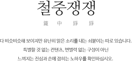 철중쟁쟁